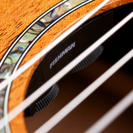 Cordoba C4-CE Classic Guitar