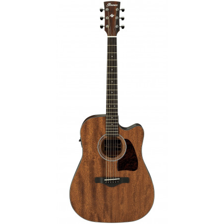 Ibanez AW54CE - Open Pore Natural