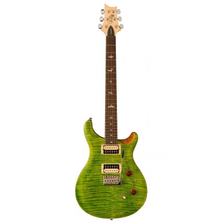 PRS SE Custom 24-08 Eriza Verde