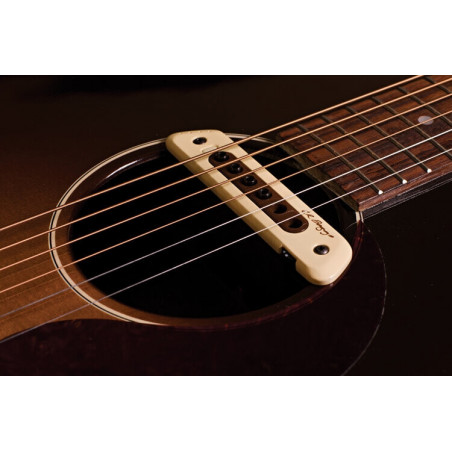 L.R. Baggs M80 Acoustic Guitar Soundhole Pickup