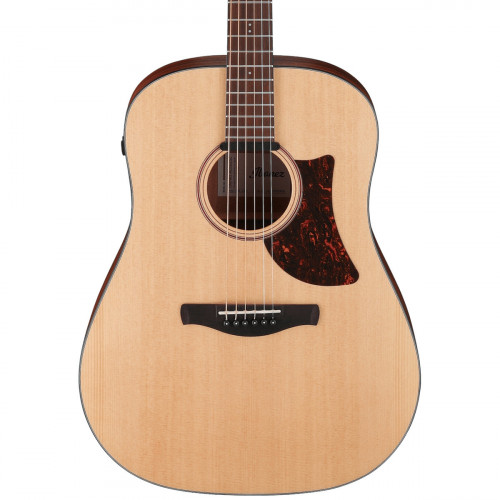 Ibanez Advanced Acoustic AAD100E