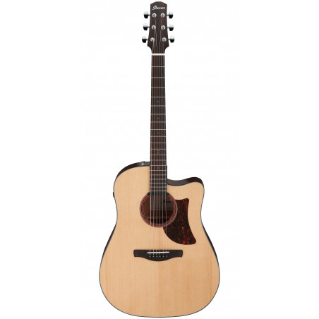 Ibanez Advanced Acoustic AAD170CE - Natural Low Gloss