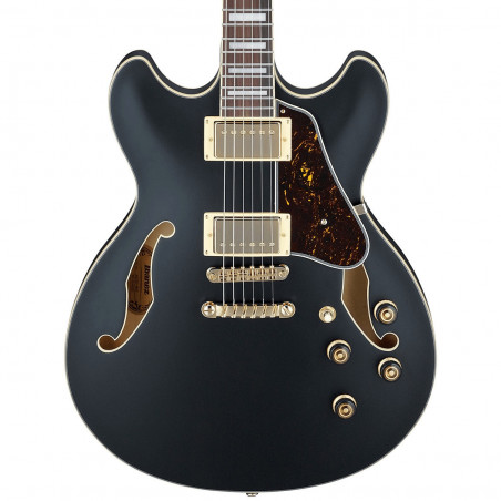 Ibanez AS73G - Black Flat