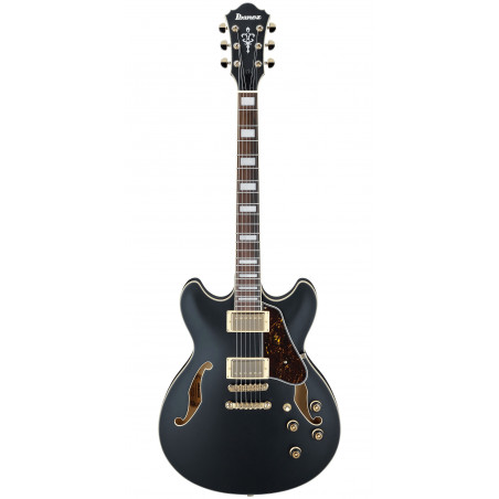 Ibanez AS73G - Black Flat
