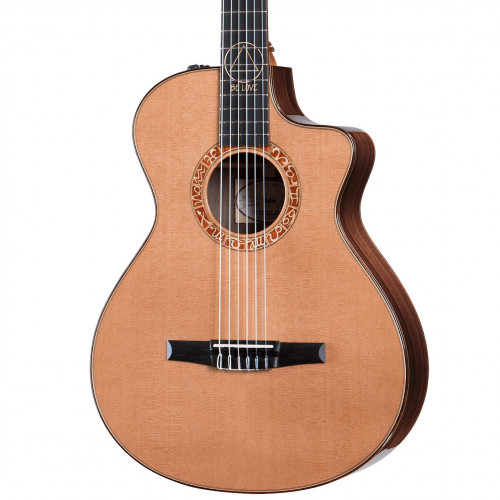 Taylor Jason Mraz Signature Model (JMSM)