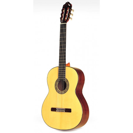 Esteve 12 Classic Guitar