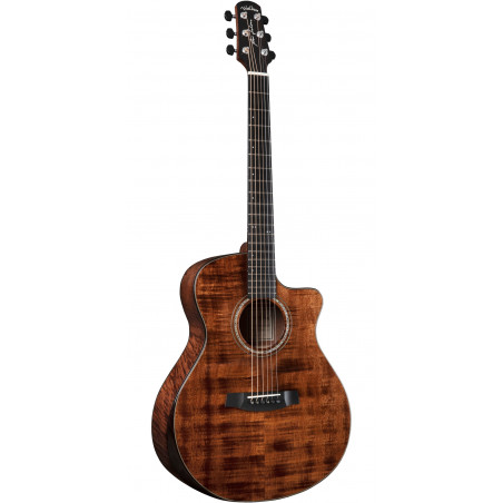 Walden Rui Veloso Sign. RV40 w/ Hard Case
