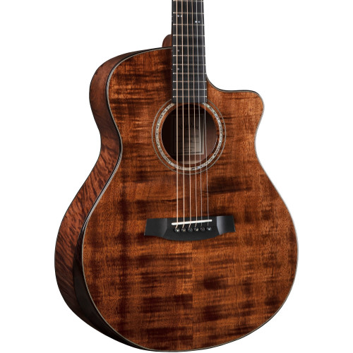 Walden Rui Veloso Sign. RV40 w/ Hard Case