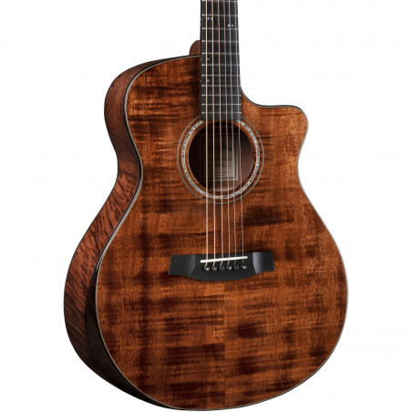 Walden Rui Veloso Sign. RV40 w/ Hard Case