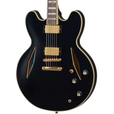Epiphone Emily Wolfe Sheraton Stealth