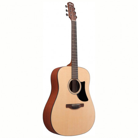 Ibanez Advanced Acoustic AAD50 - Natural Low Gloss