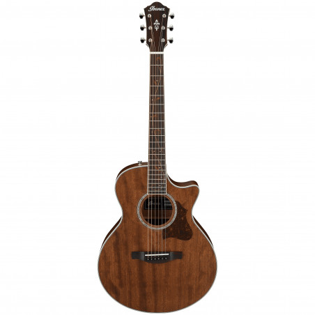 Ibanez AE245JR - Open Pore Natural