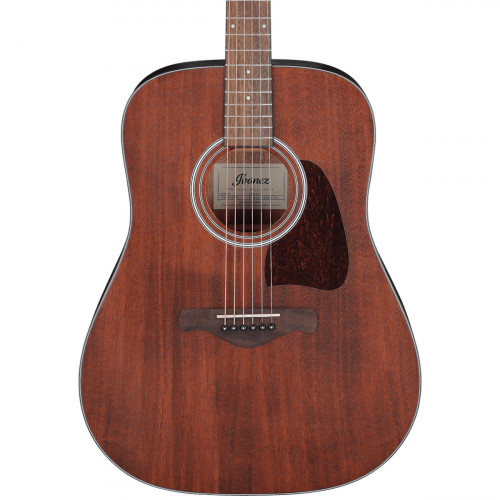 Ibanez Artwood AW54 - Open Pore Natural