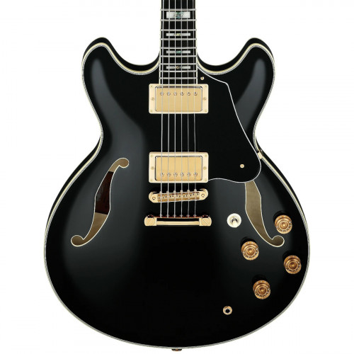 Ibanez John Scofield Signature 20th Anniversary JSM20th