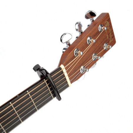 D'Addario Pro Capo