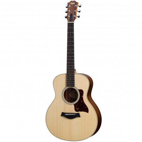 Taylor GS Mini Rosewood