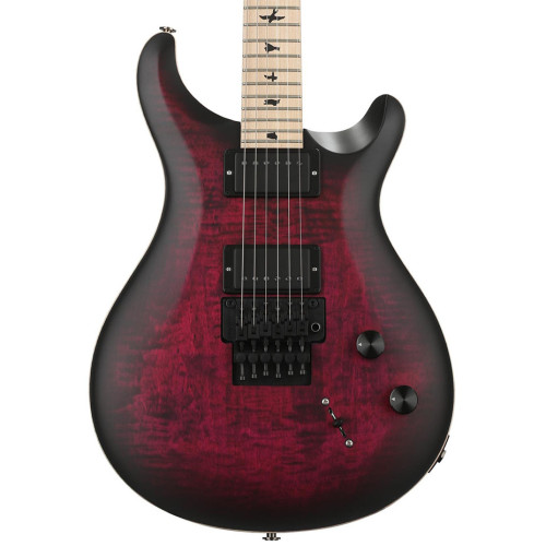 PRS CE 24 Dustie Waring Floyd - Waring Burst