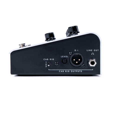 Blackstar Dept. 10 AMPED 1