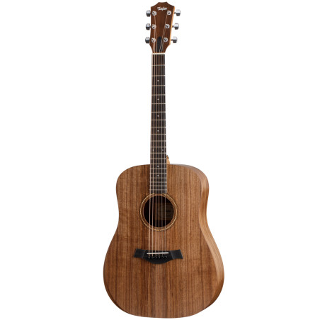 Taylor Academy 20e