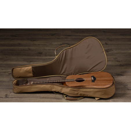 Taylor Academy 20e