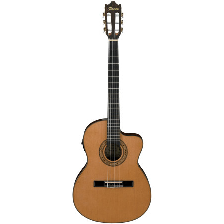 Ibanez GA5TCE