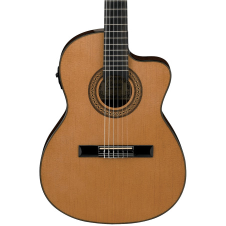 Ibanez GA5TCE