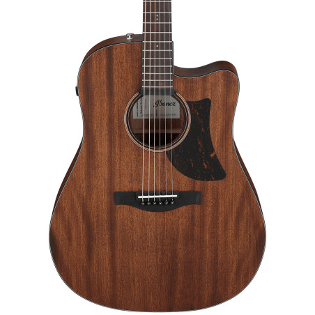 Ibanez Advanced Acoustic AAD190CE, Open Pore Natural