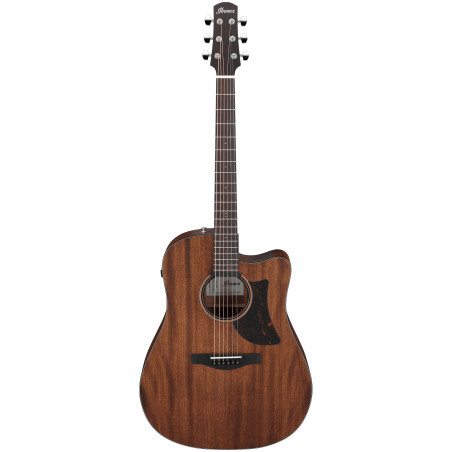 Ibanez Advanced Acoustic AAD190CE, Open Pore Natural