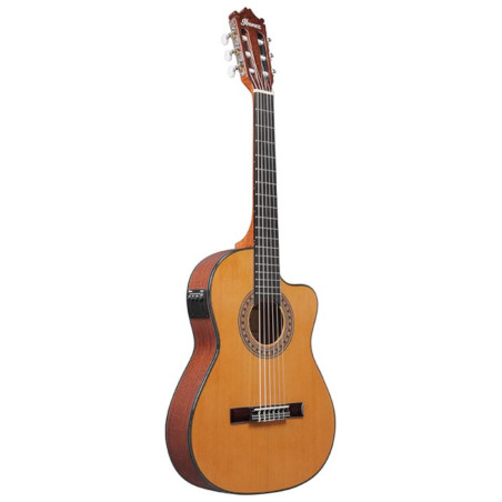 Ibanez 3/4 Thinline Cutaway Classical Guitar, Amber High Gloss