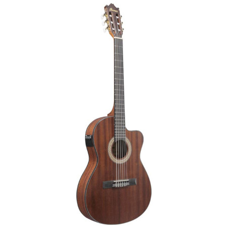 Ibanez GA5MHTCE - Open Pore Natural