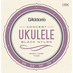 D’Addario EJ53C Pro-Arté Rectified Ukulele, Concert
