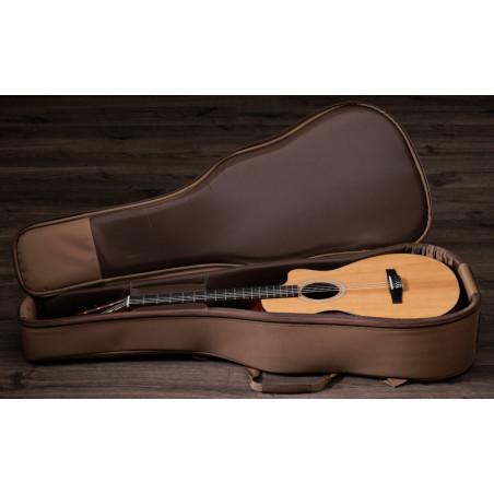Taylor 112ce-N