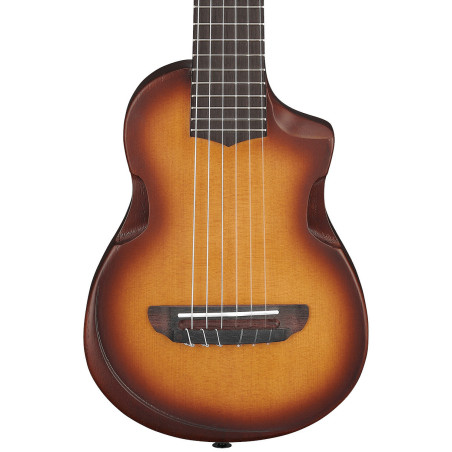 Ibanez AUP10N Ukulele, Light Brown Sunburst