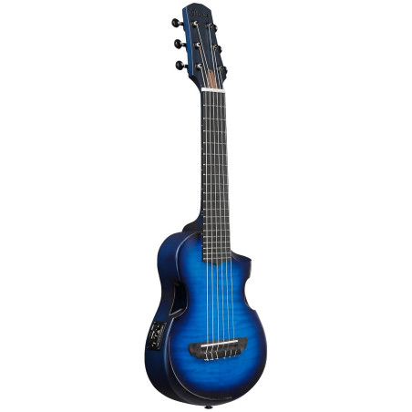 Ibanez AUP10FMNE Transparent Blue Sunburst Open Pore