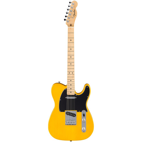 Fender Standard Telecaster MN Butterscotch Blonde