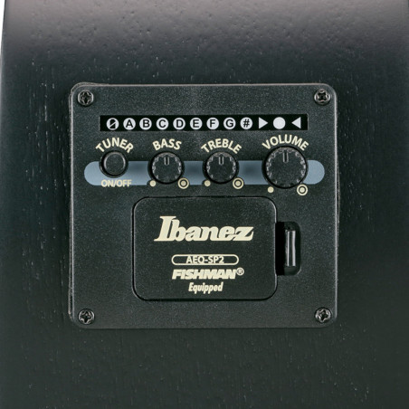 Ibanez AEWC621, Black Out
