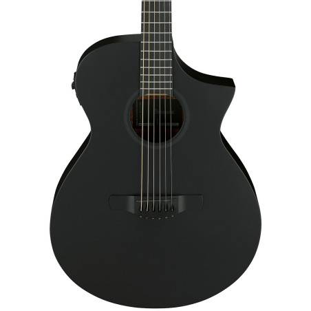 Ibanez AEWC621, Black Out
