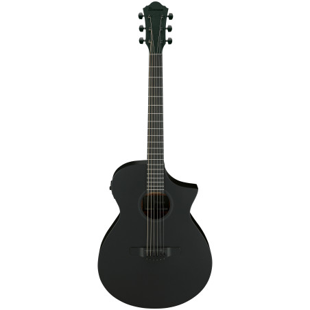 Ibanez AEWC621, Black Out