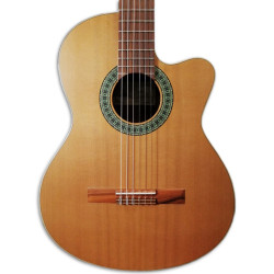 Paco Castillo 220CE