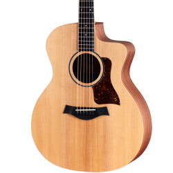 Taylor 14ce
