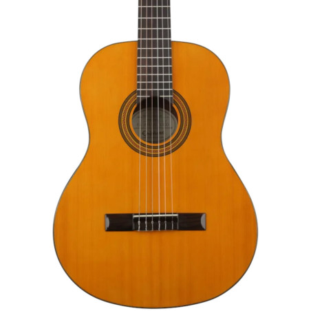 Epiphone PRO-1 Spanish Classic 2'' nut