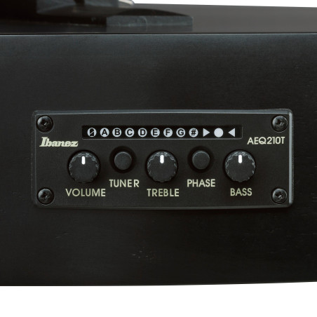Ibanez GA621 Black Out