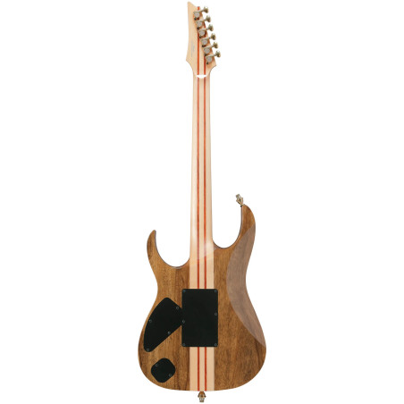 Ibanez IV2RG Visions