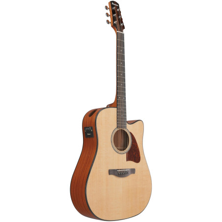Ibanez Advanced Acoustic AAD51CE Natural