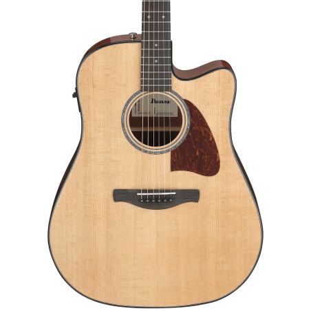 Ibanez Advanced Acoustic AAD51CE Natural