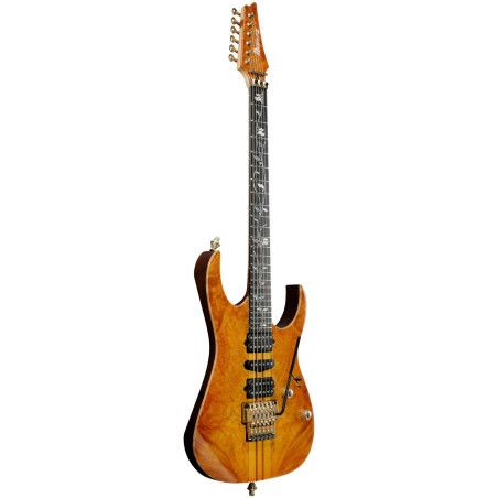 Ibanez IV1RG Visions