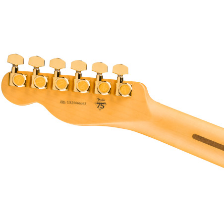 Fender 75th Anniversary American Professional Custom Telecaster Mn 2-C