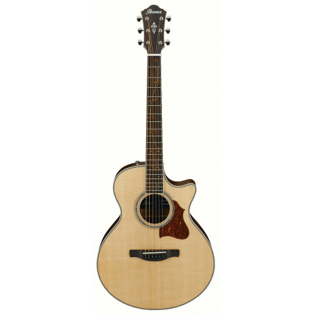 Ibanez AE205JR